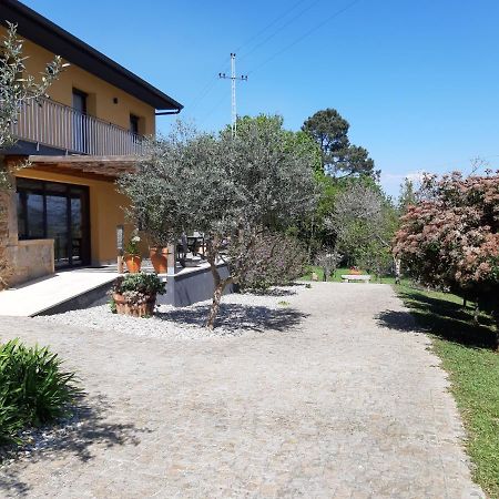 Quinta do Senhor Braga Exterior foto
