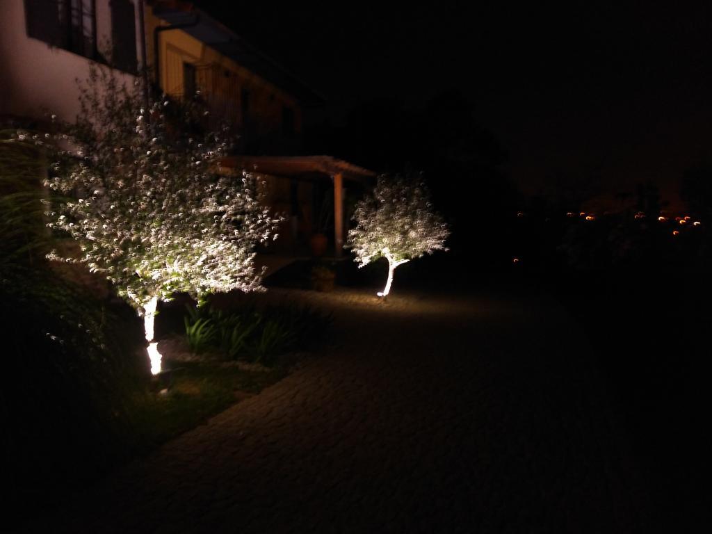 Quinta do Senhor Braga Exterior foto