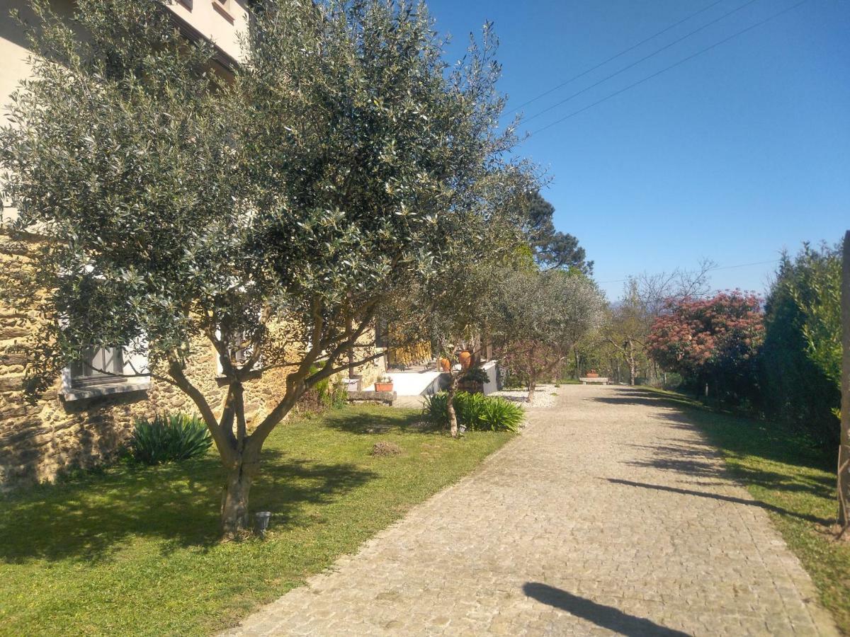 Quinta do Senhor Braga Exterior foto